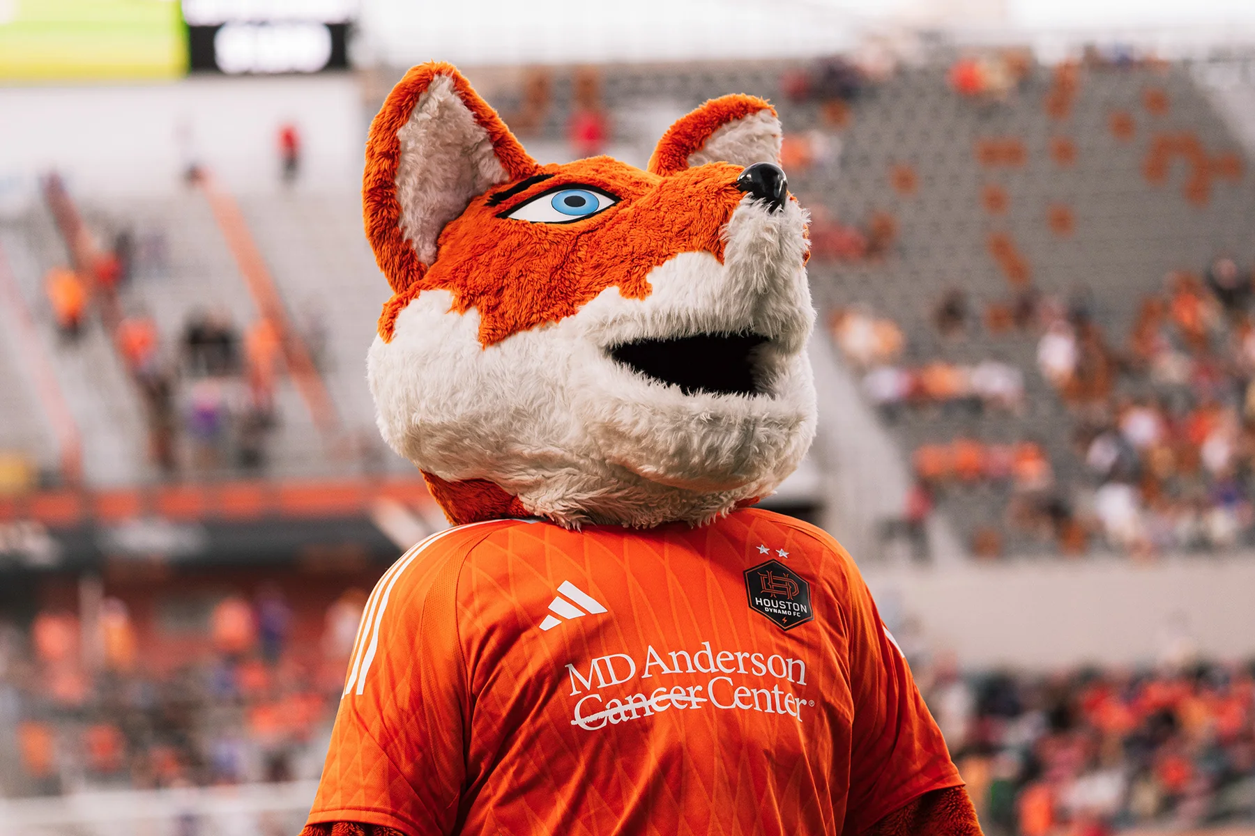 MLS soccer coverage — Diesel the Fox during match day.